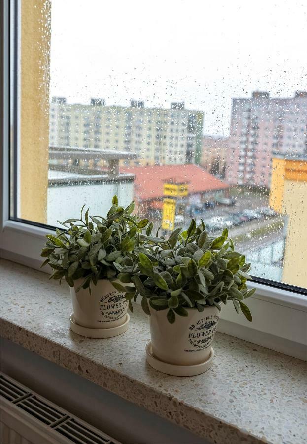 Top Floor Apartment Gorzow Wielkopolski Exterior photo